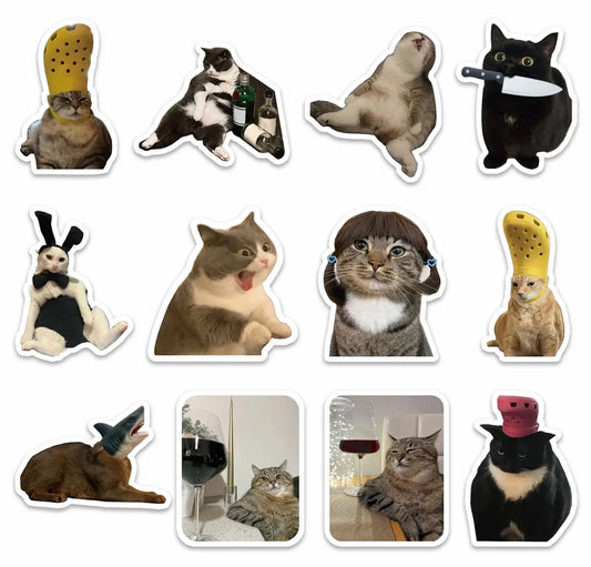 Kattmemes kylskåpsmagneter 12-pack